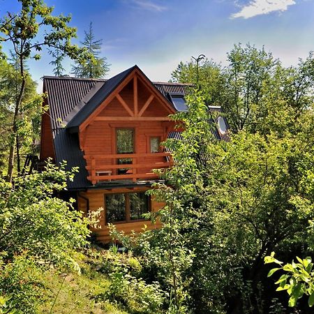 Domki Mroz Zakopane Esterno foto