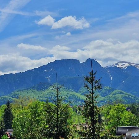 Domki Mroz Zakopane Esterno foto