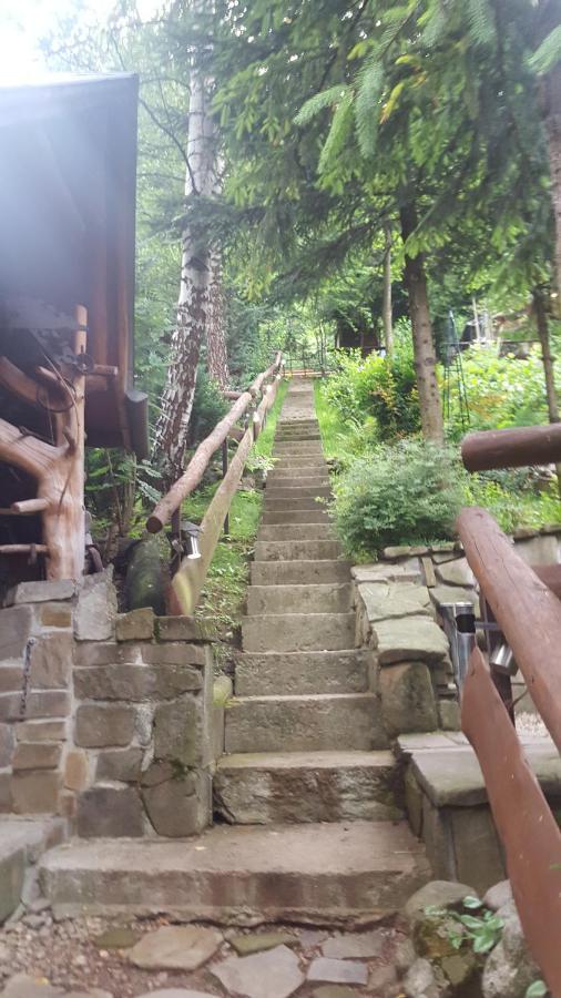 Domki Mroz Zakopane Esterno foto