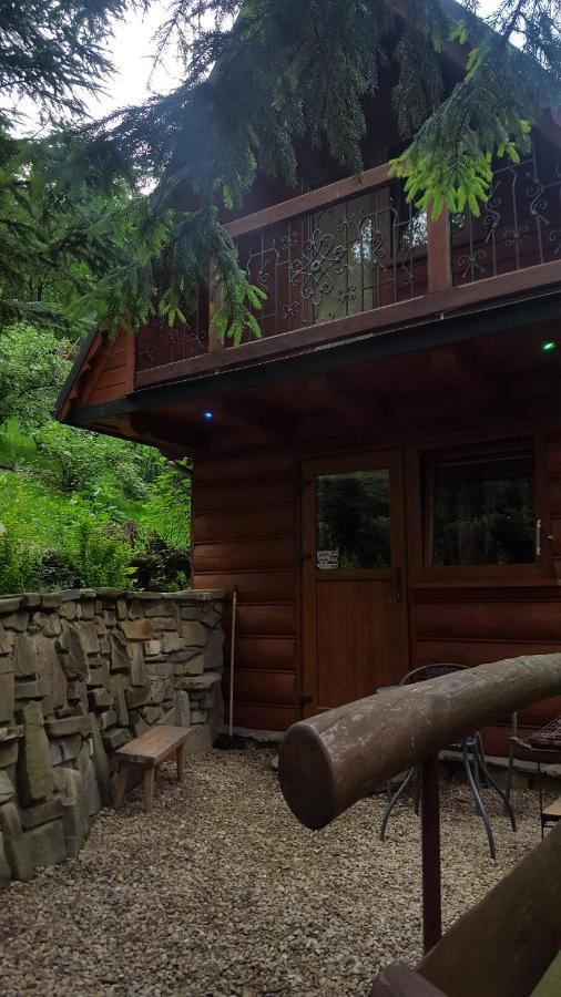 Domki Mroz Zakopane Esterno foto