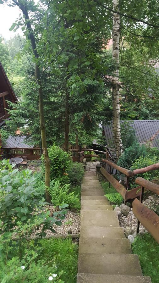 Domki Mroz Zakopane Esterno foto