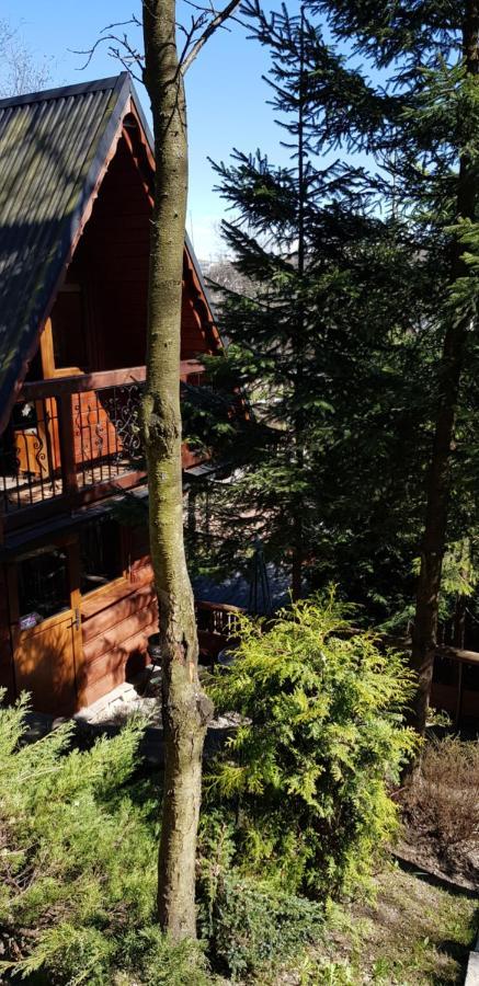 Domki Mroz Zakopane Esterno foto