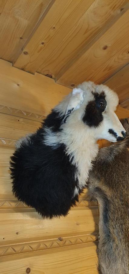 Domki Mroz Zakopane Esterno foto