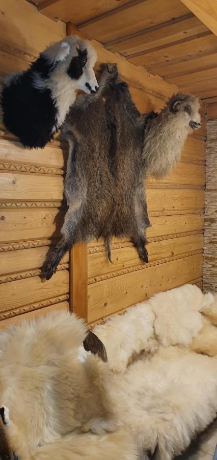 Domki Mroz Zakopane Esterno foto
