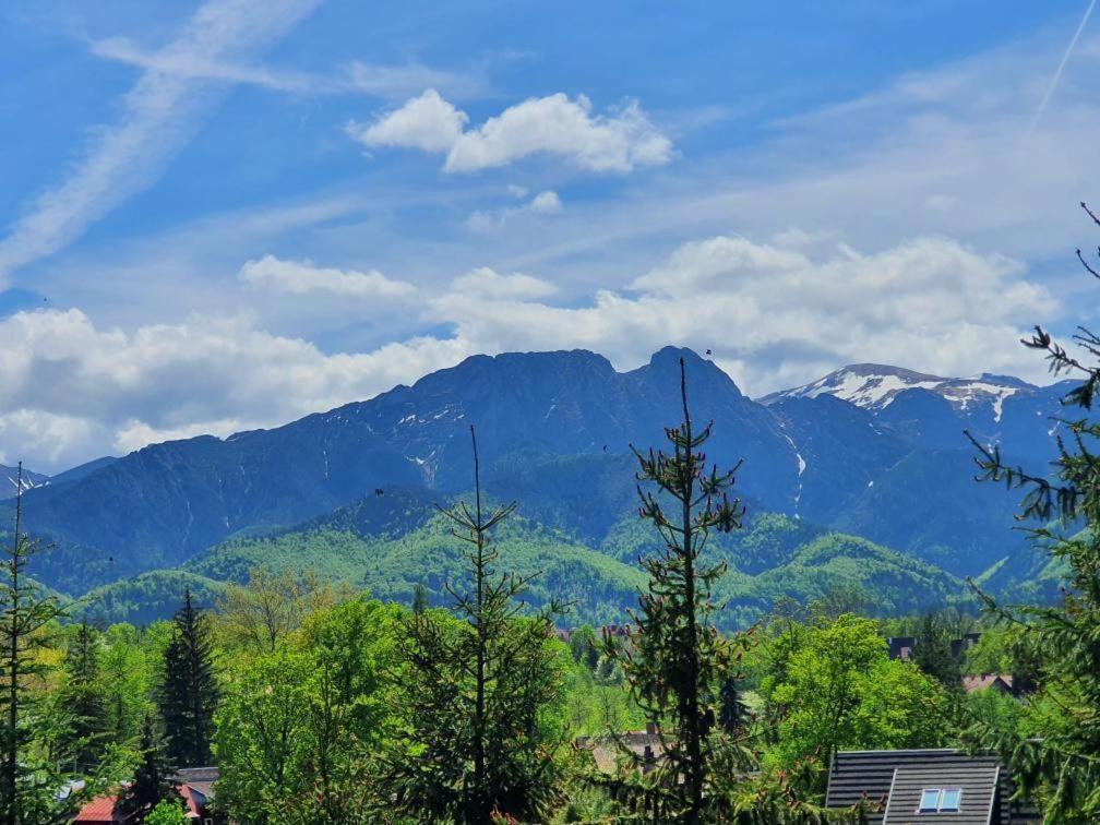 Domki Mroz Zakopane Esterno foto